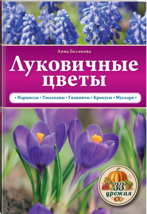 Луковичные цветы | Белякова - 33 урожая - Эксмо - 9785699778607