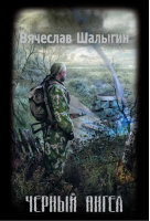 Черный Ангел | Шалыгин - Сталкер - Эксмо - 9785699281411