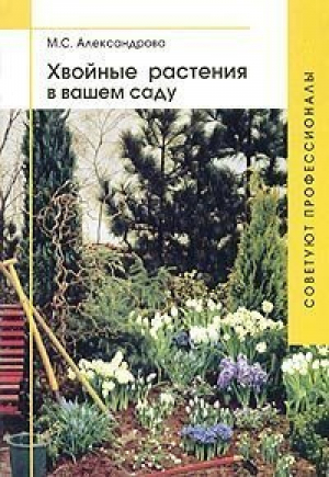 Хвойные растения в вашем саду | Александрова - Советуют профессионалы - Фитон - 9785934570096