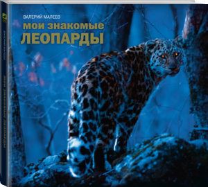 Мои знакомые леопарды | Малеев - МИФ. Кругозор - Манн, Иванов и Фербер - 9785906258120