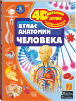4D Атлас анатомии человека | Спектор - Детский 4D атлас с дополненной реальностью - АСТ - 9785171176174