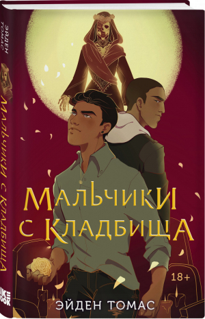 Мальчики с кладбища | Томас Эйден - Young Adult. Friendly - Like Book (Эксмо) - 9785041573485