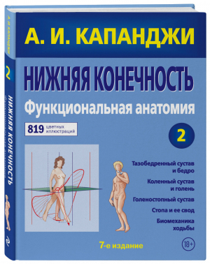 Нижняя конечность: Функциональная анатомия (обновленное издание) | Капанджи - Цветные иллюстрированные медицинские атласы - Эксмо - 9785041137533