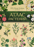 Атлас растений | Мелик-Гусейнов - Снег - 9785903129348