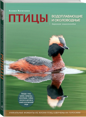 Птицы Водоплавающие и околоводные (с музыкальным модулем) | Митителло - Энциклопедии животных - Эксмо - 9785699577231